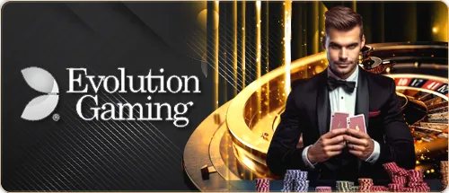 14_evolution